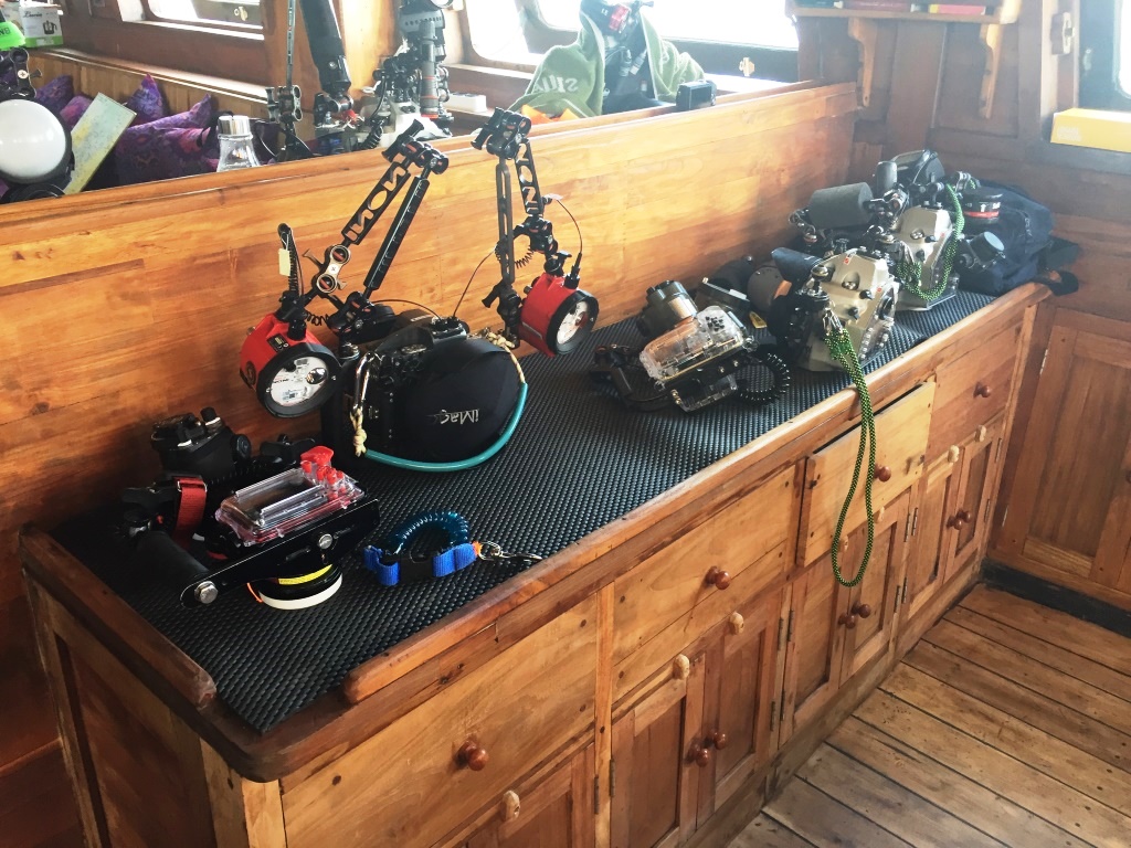 https://liveaboardhub.com/media/fleets/165574ee-7403-44cd-aa40-fbb1faabfb11/boats/9741c0a8-3cf4-43d9-b380-7533e569dc2e/image11.jpg