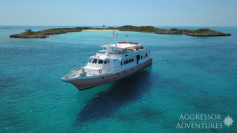 https://liveaboardhub.com/media/fleets/e41d05aa-f992-4444-9b8d-e036abbeb7a0/boats/41a7b0f8-b451-404d-b686-60dd38328b95/image01.jpg
