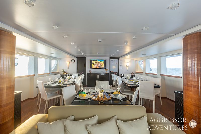 https://liveaboardhub.com/media/fleets/e41d05aa-f992-4444-9b8d-e036abbeb7a0/boats/6d929b4f-edb9-4868-8f10-ff096366bbe8/image06.jpg