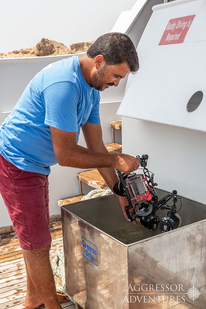 https://liveaboardhub.com/media/fleets/e41d05aa-f992-4444-9b8d-e036abbeb7a0/boats/6d929b4f-edb9-4868-8f10-ff096366bbe8/image10.jpg