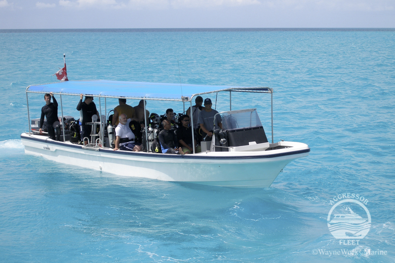 Image of Palau Aggressor II