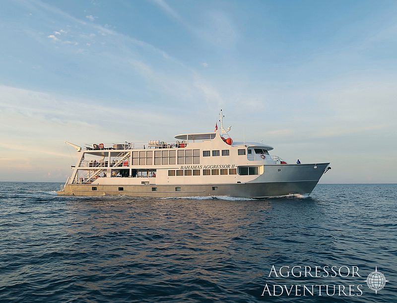 Image of Bahamas Aggressor II