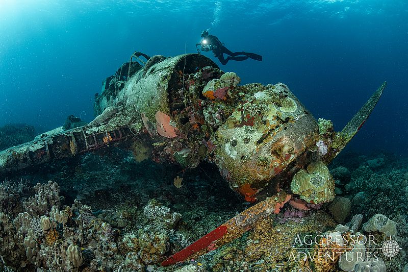 Image of Palau Aggressor II